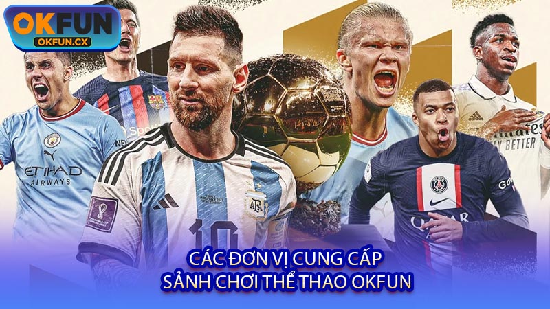 Các Đơn Vị Cung Cấp Sảnh Chơi Thể Thao OKFUN