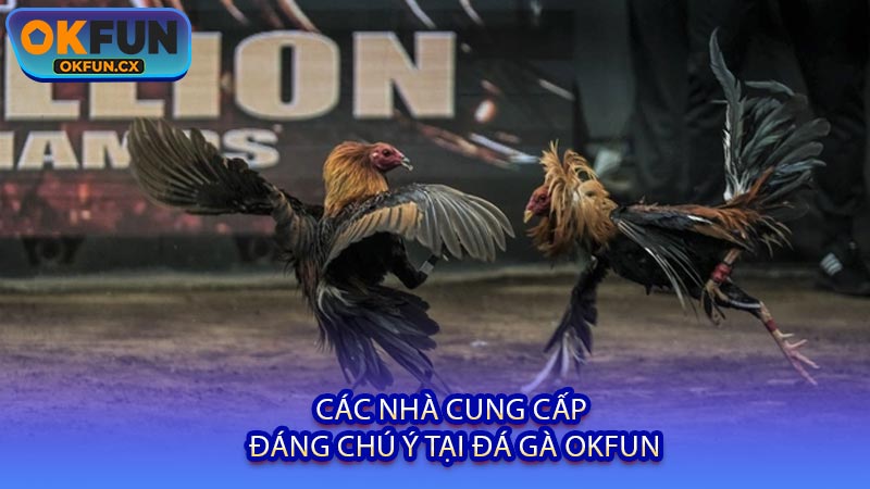 Các Nhà Cung Cấp Đáng Chú Ý Tại Đá Gà OKFUN