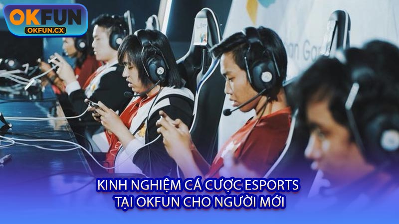 Kinh Nghiệm Cá Cược Esports Tại OKFUN Cho Người Mới