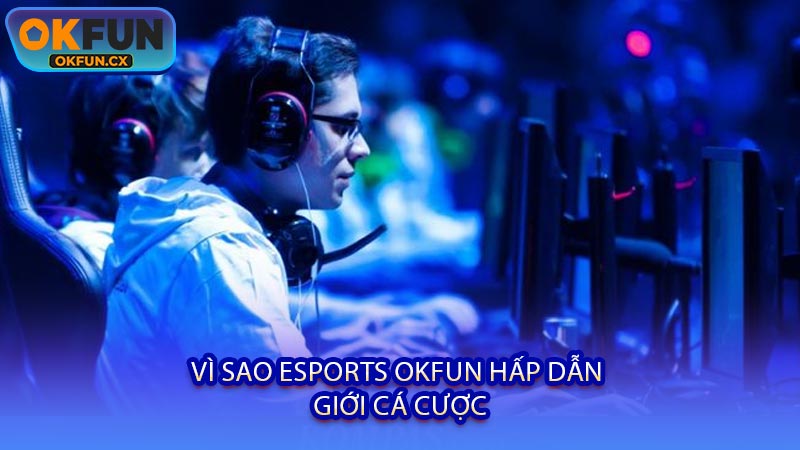 Vì Sao Esports OKFUN Hấp Dẫn Giới Cá Cược